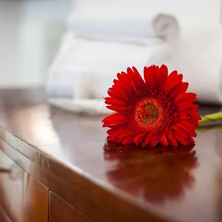 Porta Romana - Lucehotels 3* Siena