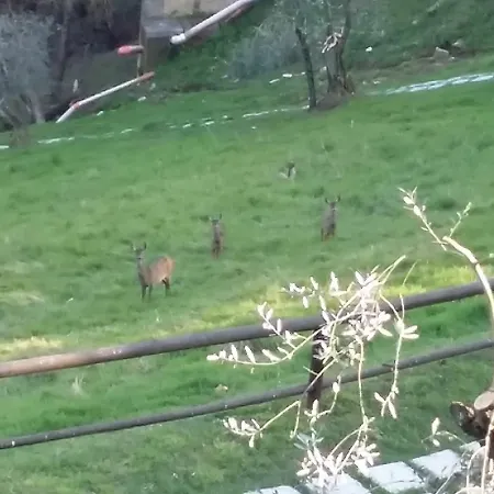 Porta Romana - Lucehotels Szálloda Siena